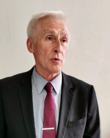 Data Sanity Participant Siniša Radulović